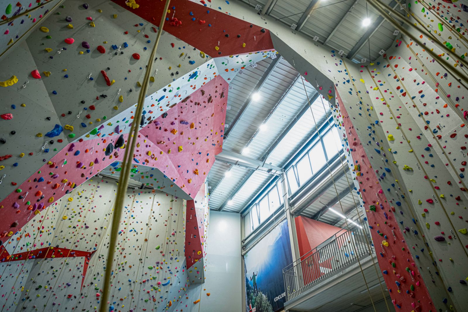 Big climbing hall